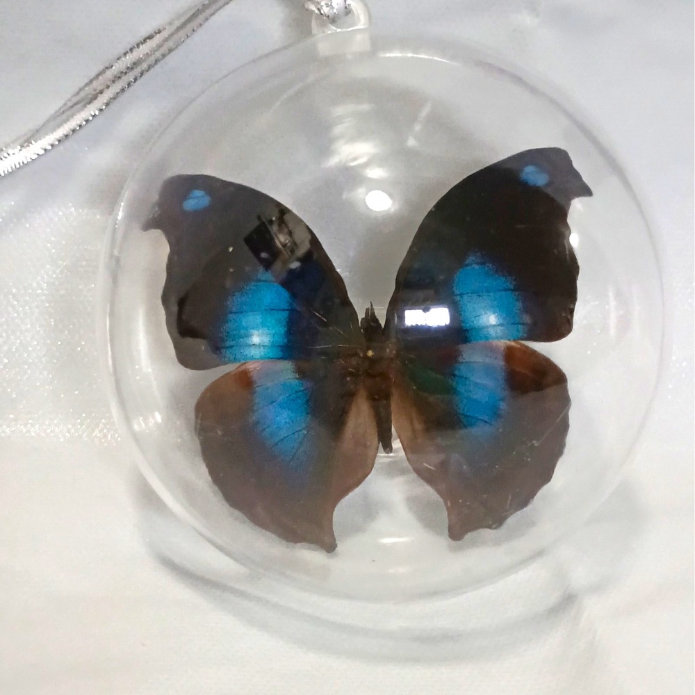 Real Butterfly Specimen Hanging Ball Ornament, Clear Plastic Display